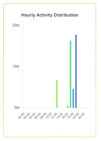 Hourly Activity Chart